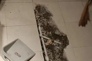 新宁卫生间漏水检测电话